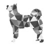 Polygon Akita