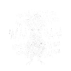 cockatoo