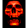 Fire Skull