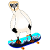 Skateboarding gannet
