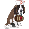 Drôle chien Saint-Bernard avec baril