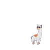 Alpaca pet