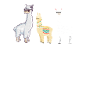 alpaca