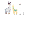 Alpaca animal love