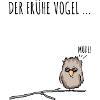 Der fruehe Vogel schwarz