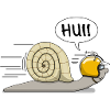 Racing snail - the original