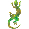 Lizard camouflage