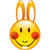 Smiley Bunny