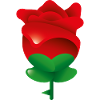 Smiley Rose