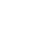 Zebra Love Couple