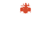 drums