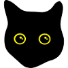black cat, cat eyes
