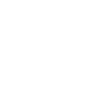 Bäääärner Der langsame Berner