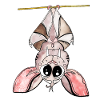 Kawaii Bat Neon Night