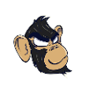 monkey