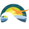 Möwe am Meer