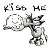 Baiser âne