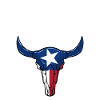 Longhorn Texas Flag