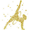 Artistic gymnastics