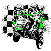 Sidecar MotoCross