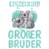 Großer Bruder - Koala