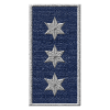 Chief inspector