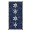 Chief inspector