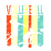 Volley-ball