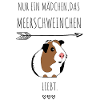 Meerschweinchen Quietschen Geschenkidee
