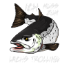 Fishing for salmon