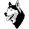 Husky