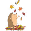 Hedgehog in autumn