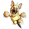 Funny German Shepherd