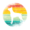 boxer
