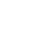 pilot