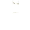 goassherzschlag