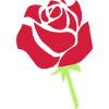 rose
