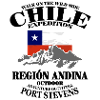 Chile - Flag & Mountains