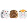 Trois petits cochons d'Inde