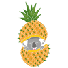 Cute Pineapple Koala