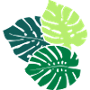 Three Monstera Leaves (3c)
