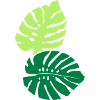 Two Monstera Leaves (2c)