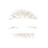 feuerwerk