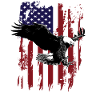 Eagle American Flag