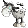Funny Donkey