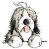 Happy Bearded Collie