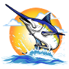 Pêche et surf