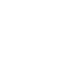 2020 line