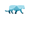 wildcat