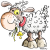 Little Sheep